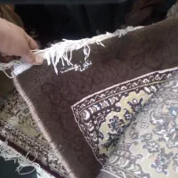 فرش ۲۱متری|فرش|اشتهارد, |دیوار