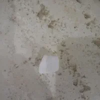 توم یا بذر سفید و سیاه