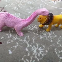 اسباب بازی|اسباببازی|سنقر, |دیوار