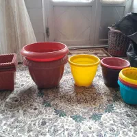 گلدان|گل و گیاه طبیعی|بجنورد, |دیوار