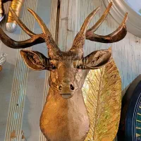 دیوارکوب کله اسب و گوزن|صنایع دستی و سایر لوازم تزئینی|تهران, کوثر|دیوار