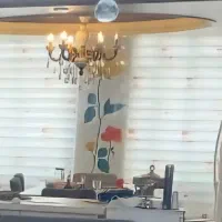 پرده زبرا خارجی
