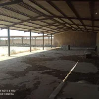 3هکتار-دامداری-100-راسی-شیری