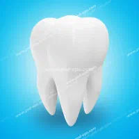 منشی مرکز رادیولوژی فک و صورت