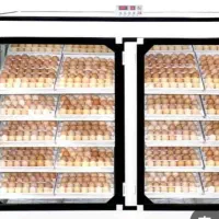 دستگاه جوجه کشی اسکندری ۲۰۱۶تایی