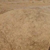 کاه|لوازم جانبی حیوانات|چمران, |دیوار