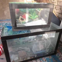 آکواریوم با وسایل آکواریوم ۱متری در ارتفا ۶۰ سانت