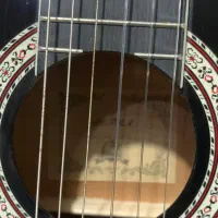 گیتار پیترا‌‌|گیتار، بیس، امپلیفایر|رشت, پارک شهر|دیوار