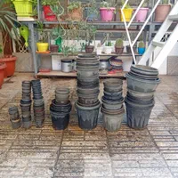 گلدان سالم