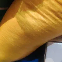 بذر شالی طارم هاشمی درجه یک