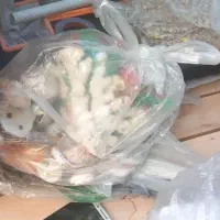 آکواریم شرکتی با لوازم|ماهی|تهران, افسریه شمالی|دیوار