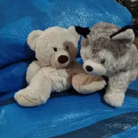 تاناکورا عروسک عمده