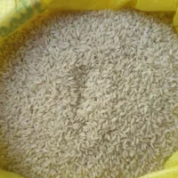 برنج عنبر بو درجه یک