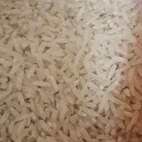 برنج طارهم هاشمی عطری امساله فریدونکنار خورده عمده