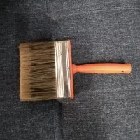 شوت برس