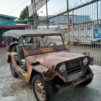 جیپ میول ارتشی