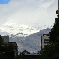 اجاره خونه حیاطی