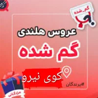 سلام عروس هلندی در منطقه کوی نیرو گم شده