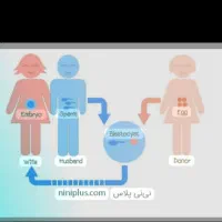 اهدا تخمک برای زندگی