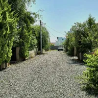 فروش فوری زمین نخری ضرر کردی *نقد و اقساط|فروش زمین و ملک کلنگی|چمستان, |دیوار