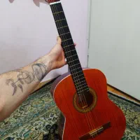 گیتار پارسی M5