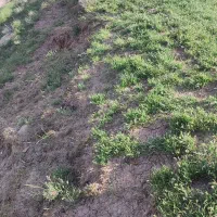 200 متر زمین|فروش زمین و ملک کلنگی|خلخال, |دیوار