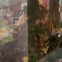 اکواریوم یک متری