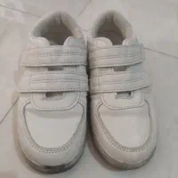 کفش|کیف، کفش، کمربند|کرج, شهرک سهرابیه|دیوار