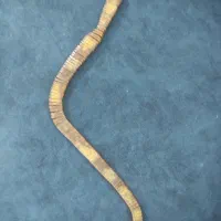 تسبیح هسته خرما کار دست نقره کوب شده|صنایع دستی و سایر لوازم تزئینی|تهران, مسعودیه|دیوار