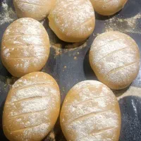 جویای کار در نان فانتزی
