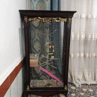 قفس پرنده