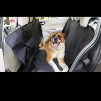 زیرانداز حیوانات