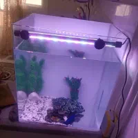 اکواریوم کامل شیشه خم