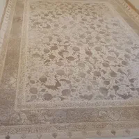 ۱۲متری