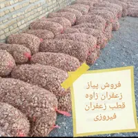 فروش پیاز زعفران زاوه قطب زعفران|عمدهفروشی|تربتحیدریه, شهرک ولیعصر|دیوار