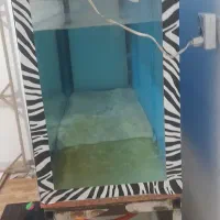 آکواریوم سایز بزرگ|ماهی|خرمآباد, |دیوار