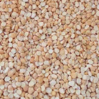 نخود‌لپه‌محلی‌