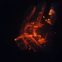 دستگاه زغال کبابی|ابزارآلات|بشاریات, |دیوار