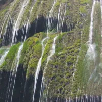 آب فروشی کشاورزی