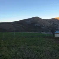 زدن علف هرز