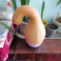 باقله پاک می کنم