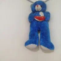 شاسخین بزرگ وعروسک کوچک