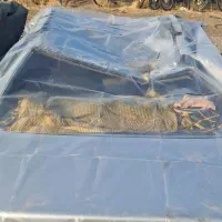 فروش ماشین|خودرو سواری و وانت|ملکان, |دیوار