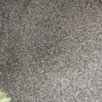 بذر جعفری رسمی تخم جعفری