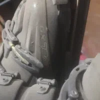 چوب اسکی الپاین