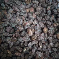 کشمش آفتابی بدون تیزاب|خوردنی و آشامیدنی|نجف‌آباد, امام خمینی|دیوار