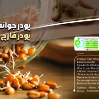 نیاز به سرمایه گذاری در صنعت مواد غذای