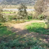 فروش زمین|فروش زمین و ملک کلنگی|توتکابن, |دیوار