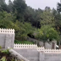 ویلای ۲۵۰متری رودبارسرای بالا ،رضوانشهر|فروش خانه و ویلا|رضوانشهر, |دیوار