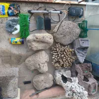 فروش لوازم اکواریوم سنگها و مرجان فروخته شده است.